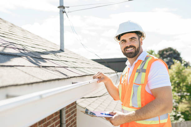 Best Roof Maintenance Services  in Romeo, MI