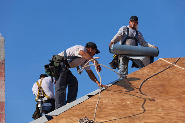 Best Roof Repair Services  in Romeo, MI