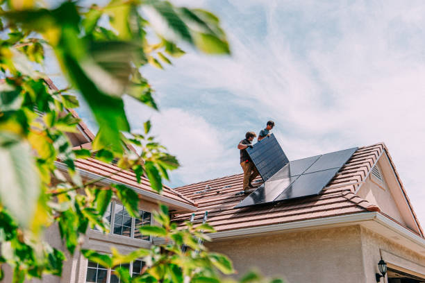Best Roof Gutter Cleaning  in Romeo, MI