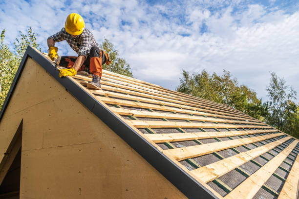 Best Roof Restoration Services  in Romeo, MI