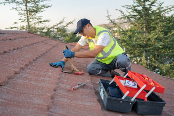 Best Roof Maintenance Services  in Romeo, MI