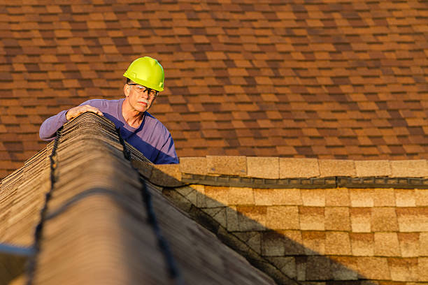 Best Roof Leak Repair  in Romeo, MI