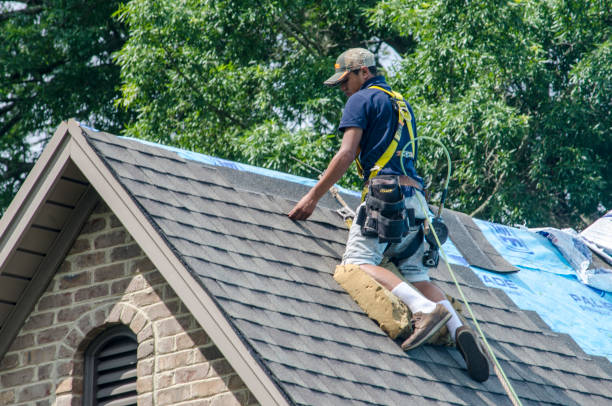Best Roof Replacement Cost  in Romeo, MI